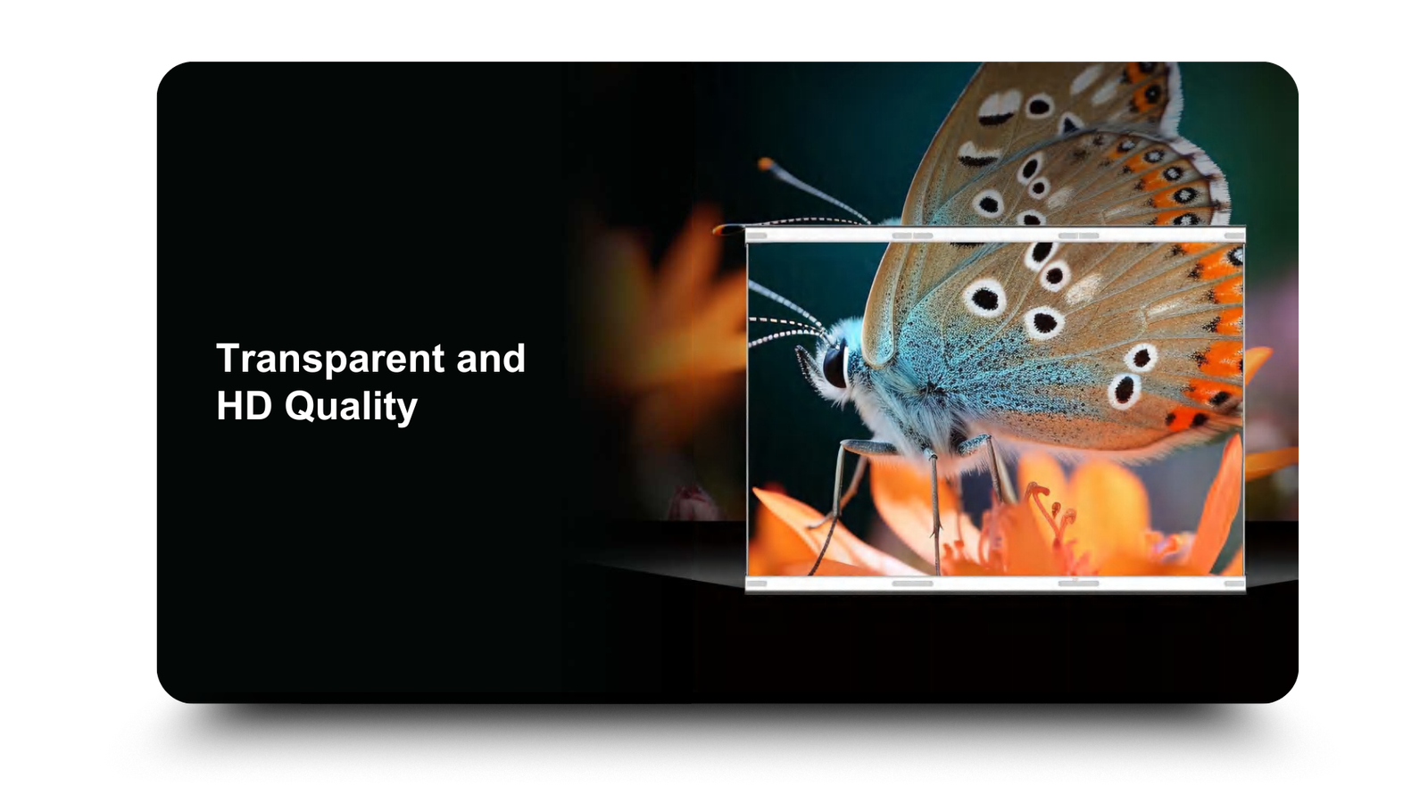 Transparent and HD Quality